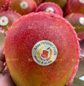 微信图片_20211221184532