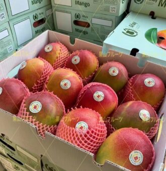 微信图片_20220317184021