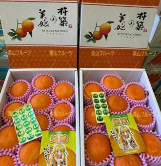 微信图片_20230207152018