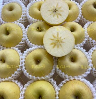 微信图片_20220105200851