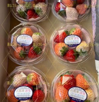 微信图片_20220213151201