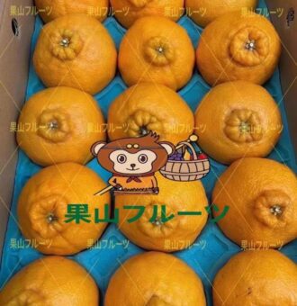 微信图片_20230123154713