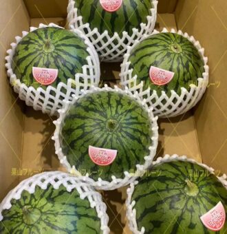 微信图片_20220305164406