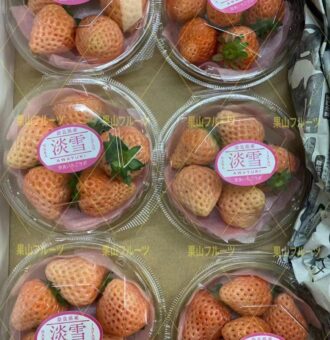 微信图片_20220317173937