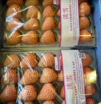 微信图片_20220515172526