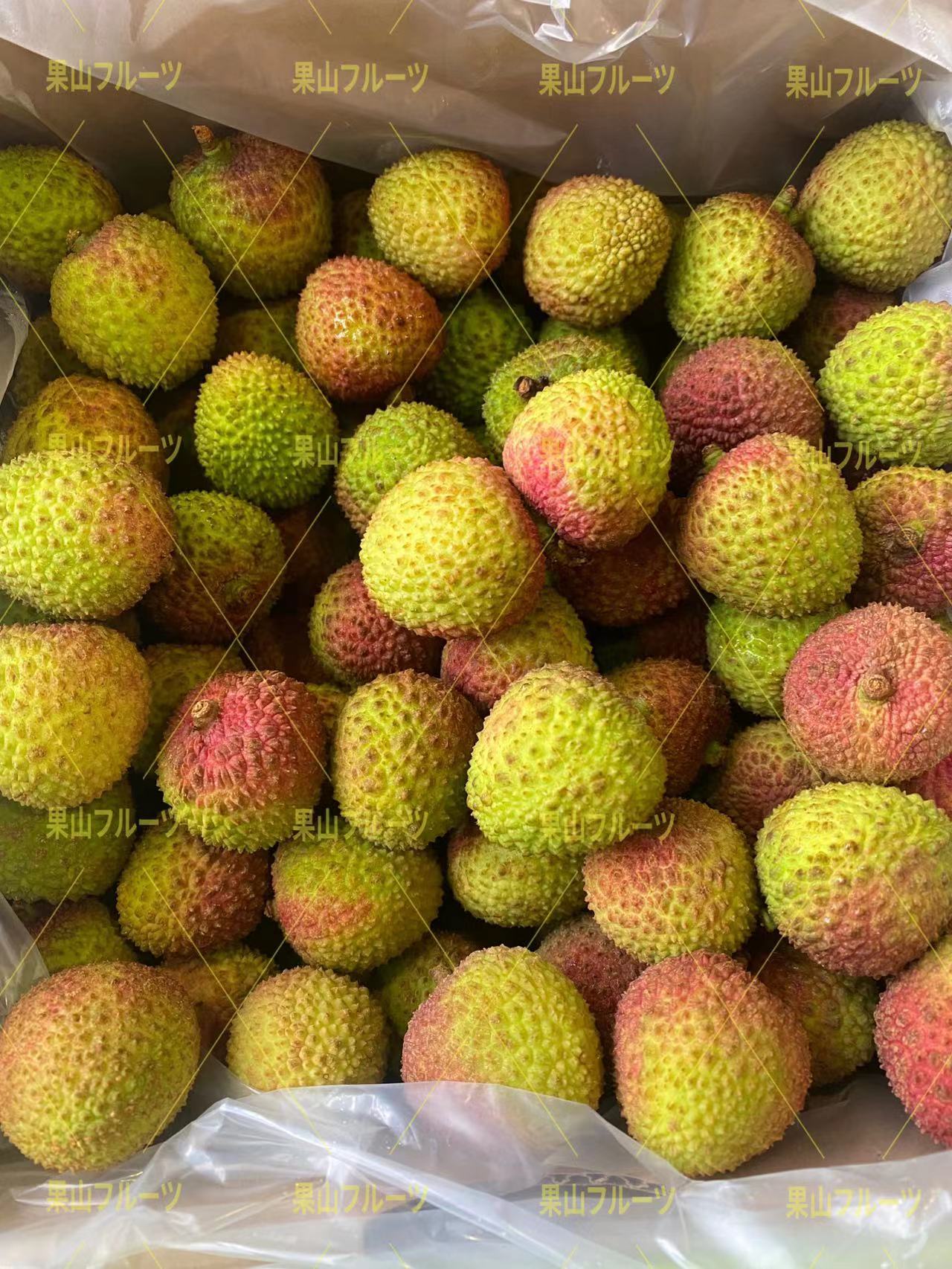 妃子笑荔枝4kg クール便 【公式通販】