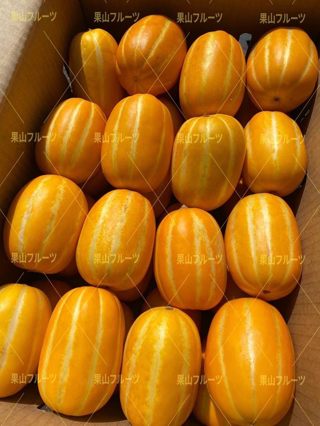 韩国産香瓜大号半箱11-15个约5kg – 果山フルーツ