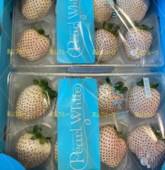 微信图片_20230112145156