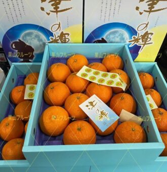 微信图片_20230207153529