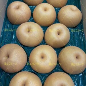 福島産秋峰梨 一箱18〜24個入 約10kg