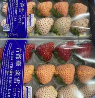 微信图片_20230323114312