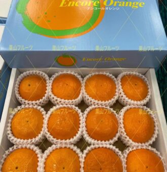 微信图片_20230323120536