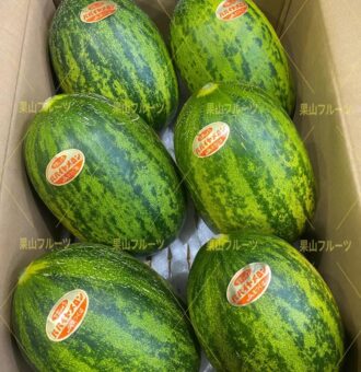 图片_20240513172213