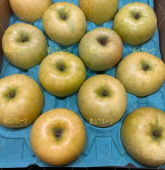 图片_20230916141441