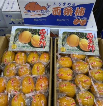 图片_20241112142104