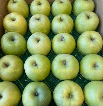 图片_20231213132923