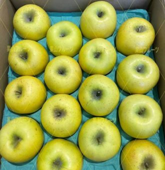 图片_20231213151939