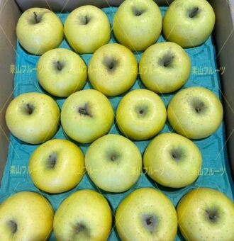 图片_20231213152013