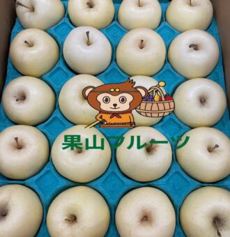 图片_20231213154338