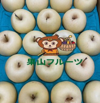 图片_20231213154347