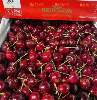 图片_20240108141154