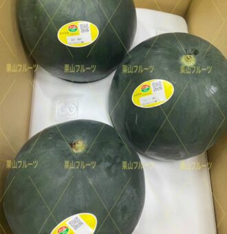 图片_20240529193729