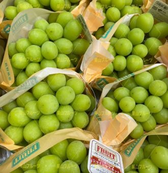 图片_20241016151235