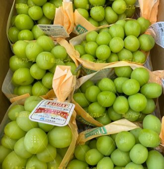 图片_20241023165756