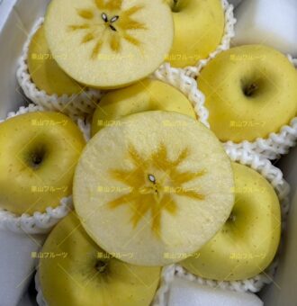 图片_20241213160059