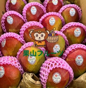 图片_20241224053505