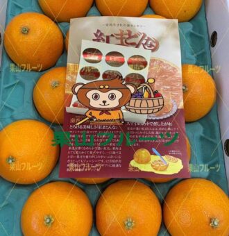 图片_20241224054217