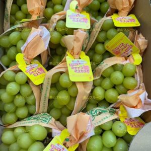 長野産香印葡萄 半箱5〜6房入 約2.5kg