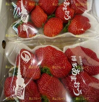 图片_20250123180720