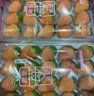 图片_20250127175343