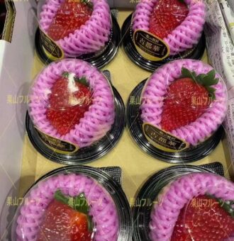 图片_20250127180449