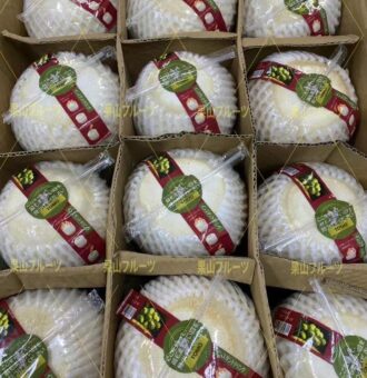 图片_20250131154035