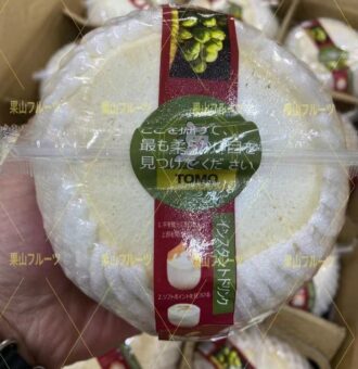 图片_20250131154053