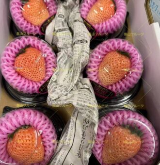 图片_20250131160059