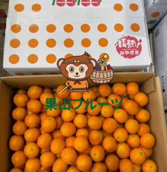 图片_20250203144759