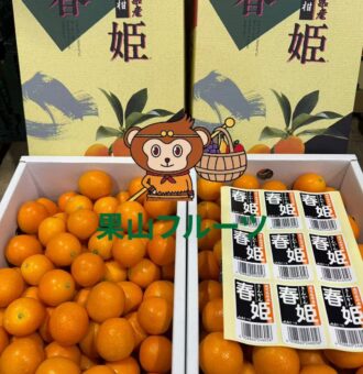 图片_20250203145759