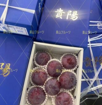 图片_20250725145904