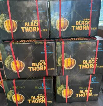 图片_20250728180018