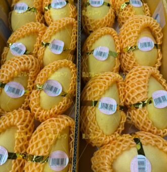 图片_20251011141816