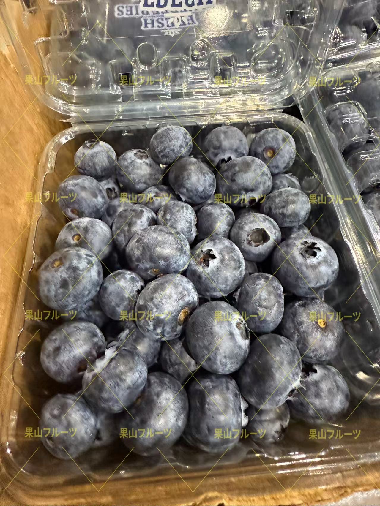 墨西哥産大蓝莓 一盒約310g 半箱6盒入 – 果山フルーツ