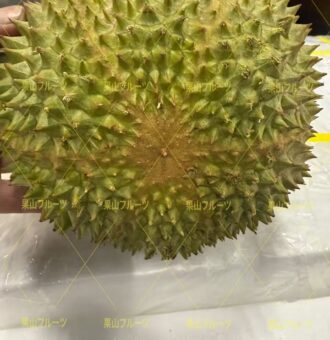 图片_20251117131716