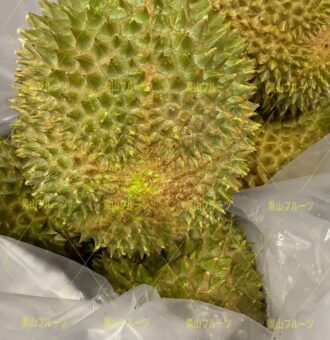 图片_20251117131725