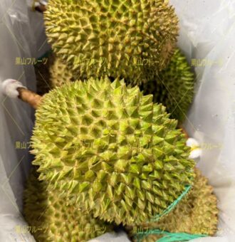 图片_20251117131741