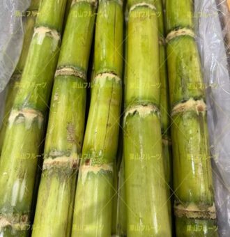 图片_20251203122359