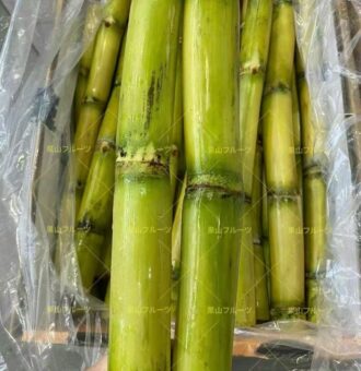 图片_20251203122404