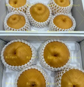 图片_20251225133919